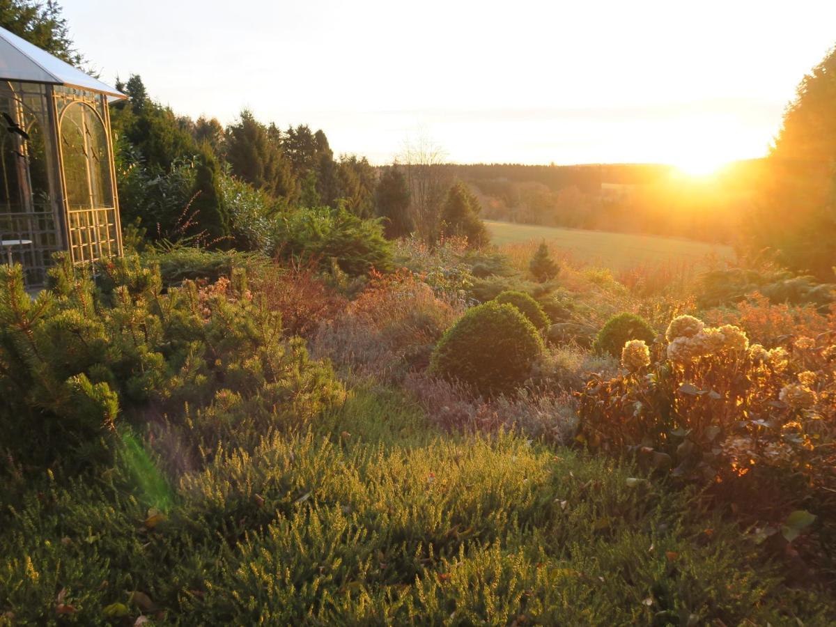 Ferienhaus Sonne, Harz Und Sterne Villa Hohegeiß Buitenkant foto