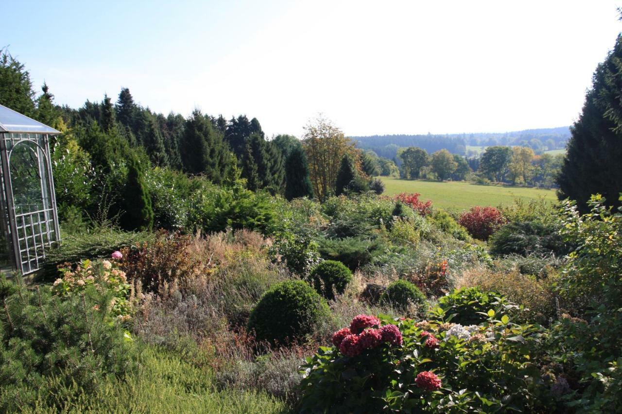 Ferienhaus Sonne, Harz Und Sterne Villa Hohegeiß Buitenkant foto