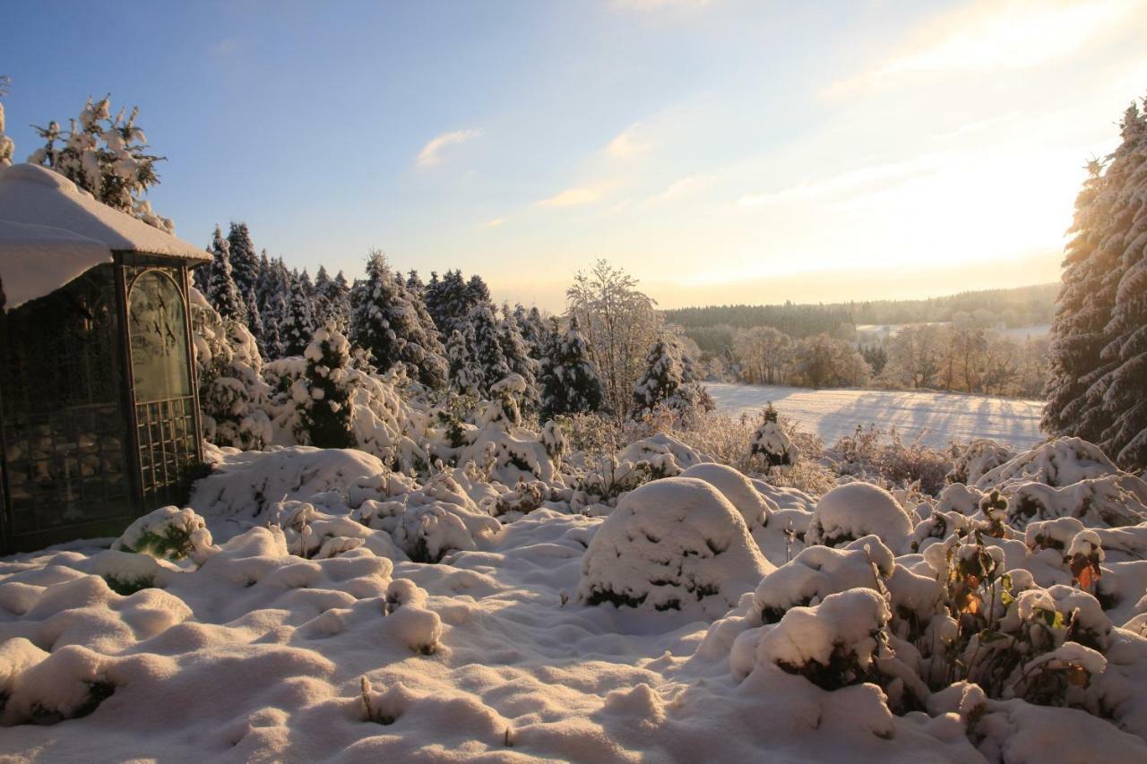 Ferienhaus Sonne, Harz Und Sterne Villa Hohegeiß Buitenkant foto