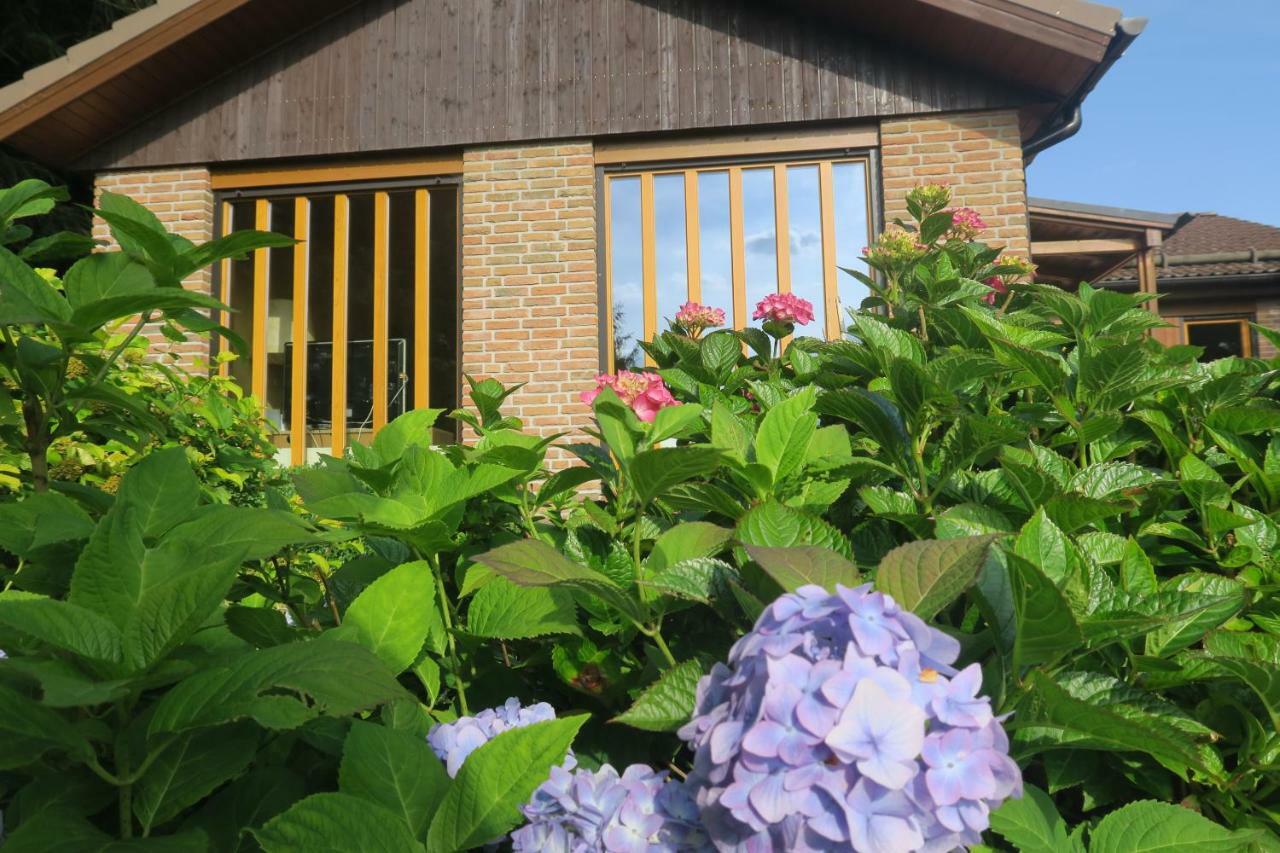 Ferienhaus Sonne, Harz Und Sterne Villa Hohegeiß Buitenkant foto